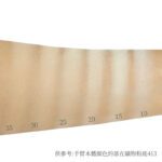 Purely Life 礦物遮瑕粉：圖片 2